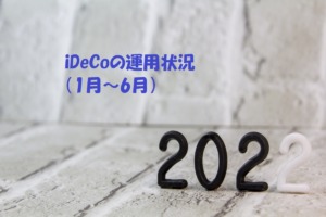 iDeCoの運用状況（2022年1月～6月）
